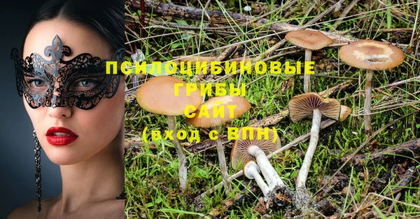 гидра Абинск